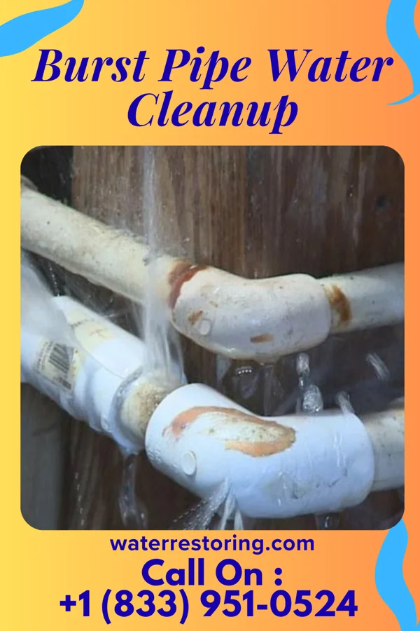 Burst Pipe Water Cleanup in Nelsonville, OH