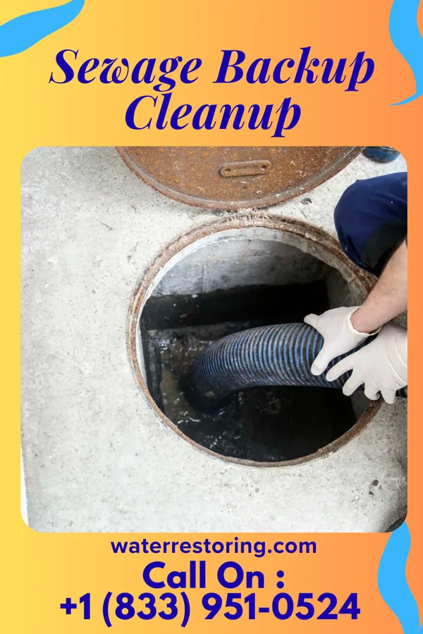 Sewage Backup Cleanup in Nelsonville, OH